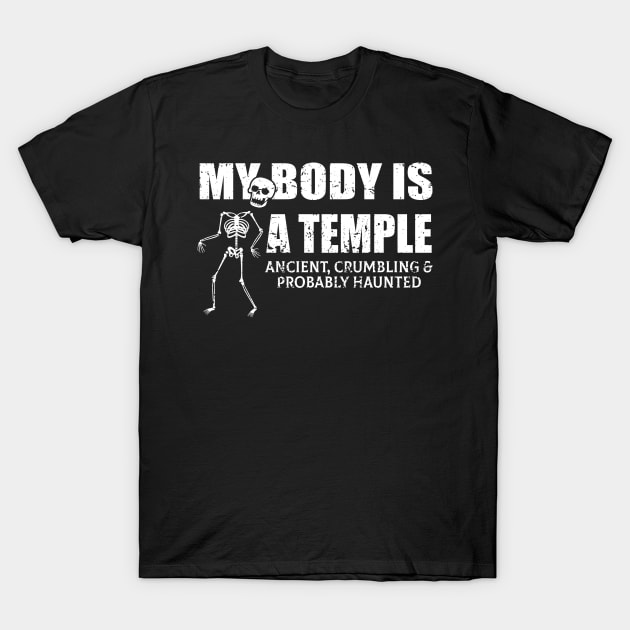 My Body Is A Temple Ancient, Crumbling & Probably Haunted T-Shirt by ZimBom Designer